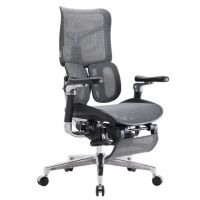 Кресло офисное Sihoo Doro-S300 black