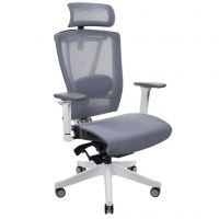 Крісло офісне Ergo Chair 2 mesh білий/сірий