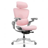 Крісло ергономічне Hinomi H2 Pro mist pink