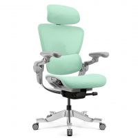 Крісло ергономічне Hinomi H2 Pro mint green