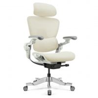 Крісло ергономічне Hinomi H2 Pro сream white