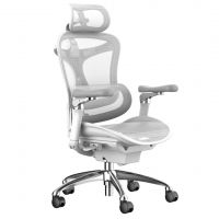 Крісло сітчасте Sihoo Doro-C300 pro white