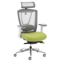 Крісло ергономічне Ergo Chair 2 зелений